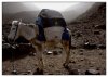 13/toubkal 169 (Small).jpg